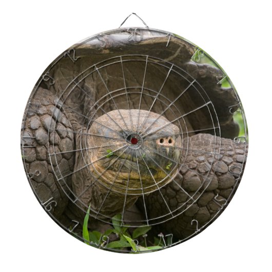 Reuzenschildpad Dartbord (Voorkant)