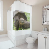 Reuzenschildpad Douchegordijn (In situ)