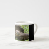 Reuzenschildpad Espresso Kop (Voorkant rechts)