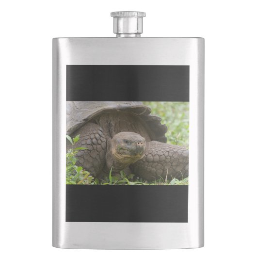 Reuzenschildpad Flacon (Voorkant)