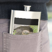 Reuzenschildpad Flacon (Voorbeeld)