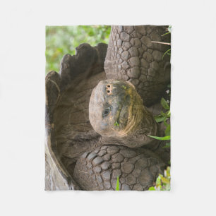 Reuzenschildpad Fleece Deken