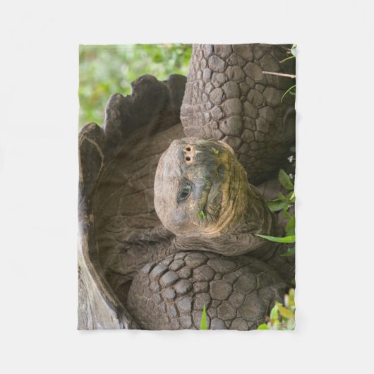 Reuzenschildpad Fleece Deken (Voorkant)