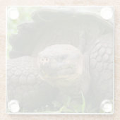 Reuzenschildpad Glazen Onderzetter (Achterkant)