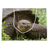 Reuzenschildpad Groot Cadeauzakje (Voorkant)