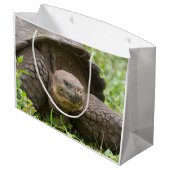 Reuzenschildpad Groot Cadeauzakje (Achterkant Gekanteld)