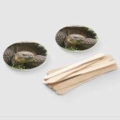 Reuzenschildpad Handwaaier (Niet-gemonteerd)