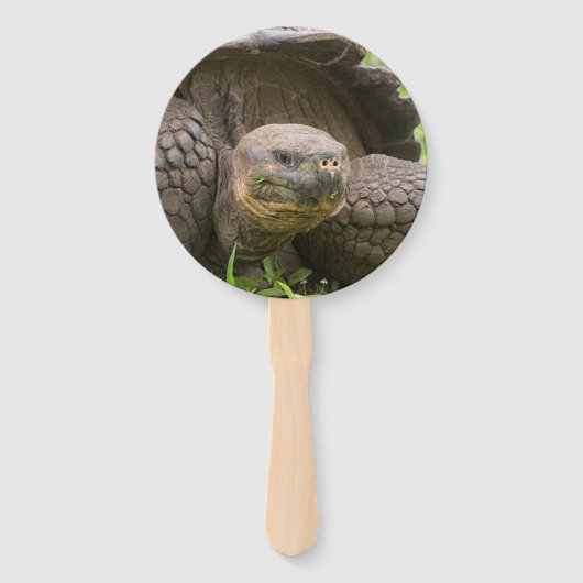 Reuzenschildpad Handwaaier (Voorkant)