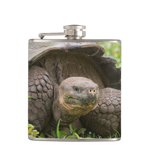 Reuzenschildpad Heupfles (Voorkant)
