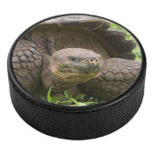 Reuzenschildpad Hockey Puck (3/4)