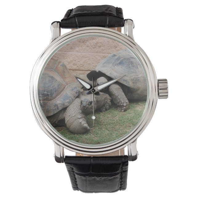 reuzenschildpad horloge (Voorkant)