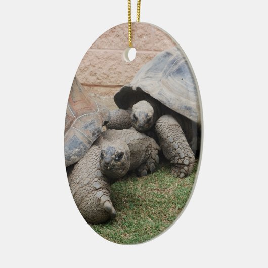 reuzenschildpad keramisch ornament (Links)