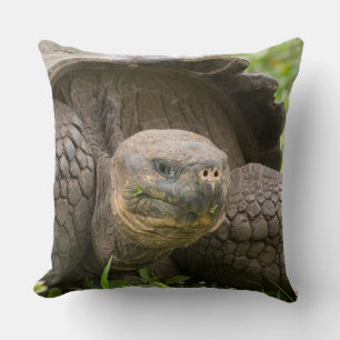 Reuzenschildpad Kussen