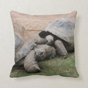 reuzenschildpad kussen