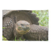 Reuzenschildpad Kussensloop (Achterkant)