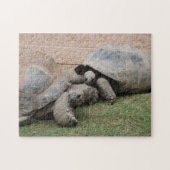 reuzenschildpad legpuzzel (Horizontaal)