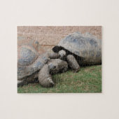 reuzenschildpad legpuzzel (Horizontaal)
