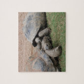 reuzenschildpad legpuzzel (Verticaal)