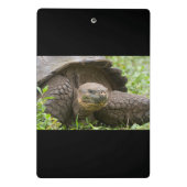 Reuzenschildpad Mini Klembord (Achterkant)