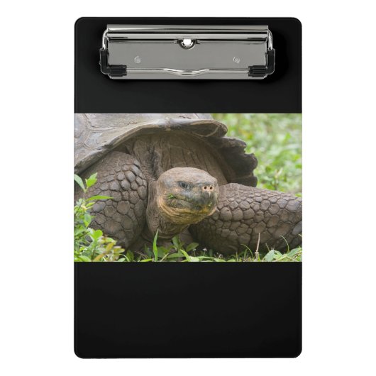 Reuzenschildpad Mini Klembord (Voorkant)