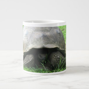 Reuzenschildpad Mok