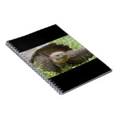 Reuzenschildpad Notitieboek (Rechterzijde)