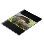 Reuzenschildpad Notitieboek (Linkerzijde)