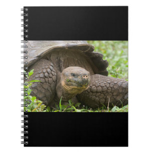 Reuzenschildpad Notitieboek