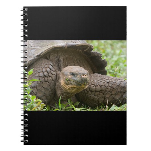 Reuzenschildpad Notitieboek (Voorkant)