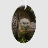 Reuzenschildpad Ornament (voorkant)