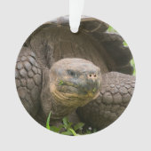 Reuzenschildpad Ornament (voorkant)