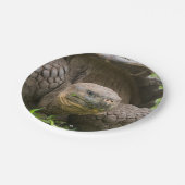 Reuzenschildpad Papieren Bordje (Gekanteld)