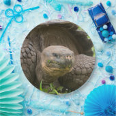 Reuzenschildpad Papieren Bordje (Feest)