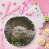 Reuzenschildpad Papieren Bordje (Feest)