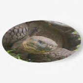 Reuzenschildpad Papieren Bordje (Gekanteld)