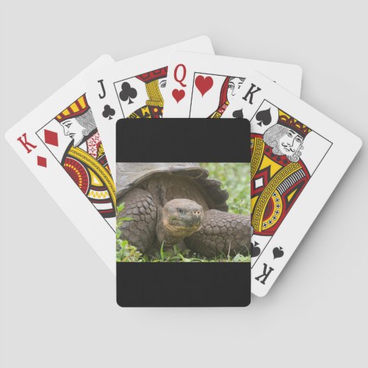 Reuzenschildpad Pokerkaarten (Achterkant)