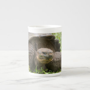 Reuzenschildpad Porselein Kop