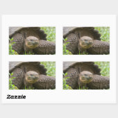 Reuzenschildpad Rechthoekige Sticker (Vel)