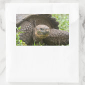 Reuzenschildpad Rechthoekige Sticker (Tas)