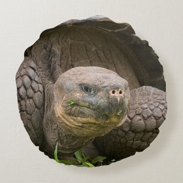 Reuzenschildpad Rond Kussen (Achterkant)