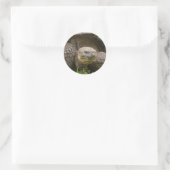 Reuzenschildpad Ronde Sticker (Tas)