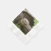 Reuzenschildpad Servet (Hoek)