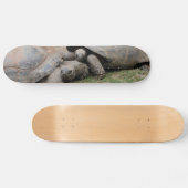 reuzenschildpad skateboard (Horizontaal)