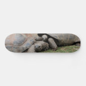 reuzenschildpad skateboard (Horizontaal)
