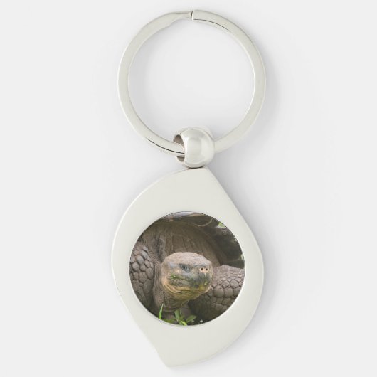 Reuzenschildpad Sleutelhanger (Voorkant)