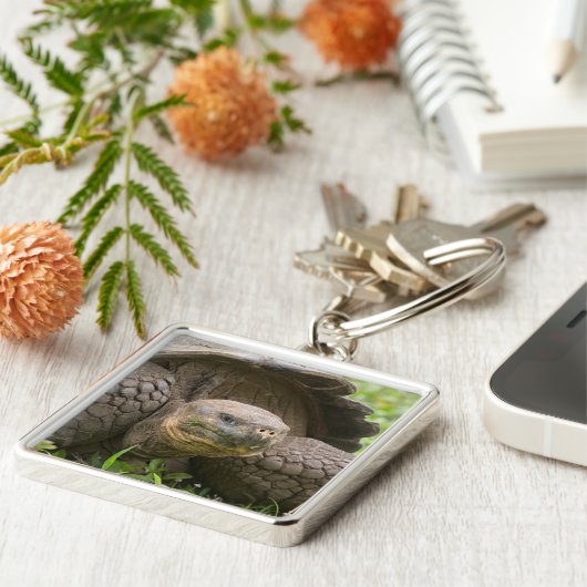 Reuzenschildpad Sleutelhanger (Zijkant)