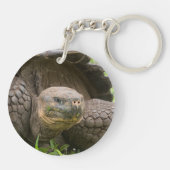 Reuzenschildpad Sleutelhanger (Achterkant)