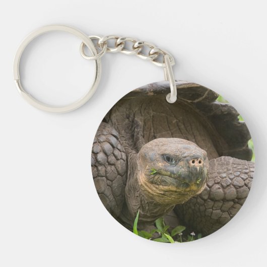Reuzenschildpad Sleutelhanger (Voorkant)