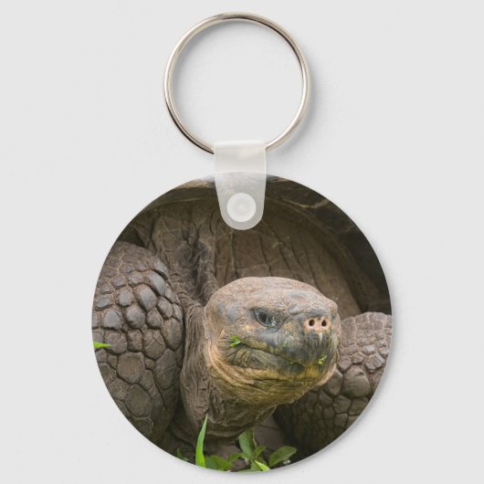 Reuzenschildpad Sleutelhanger (Voorkant)