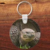 Reuzenschildpad Sleutelhanger (Voorkant)